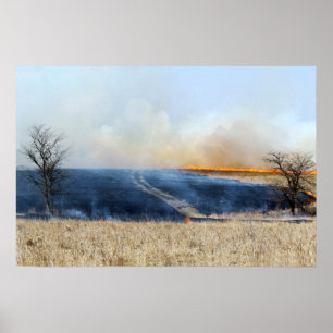 Weg door de Prairie Burn 24 x 16 Poster