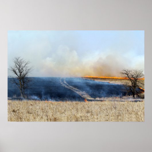 Weg door de Prairie Burn 24 x 16 Poster (Voorkant)