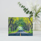 Weg door dichte boomsteeg feestdagenkaart (Staand voorkant)