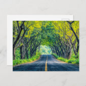 Weg door dichte boomsteeg feestdagenkaart (Voorkant / Achterkant)