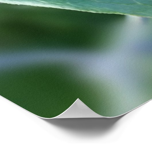 weg door hek poster (Hoek)