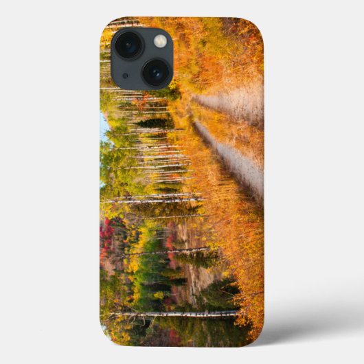 Weg door herfstkleuren Case-Mate iPhone case (Achterkant)