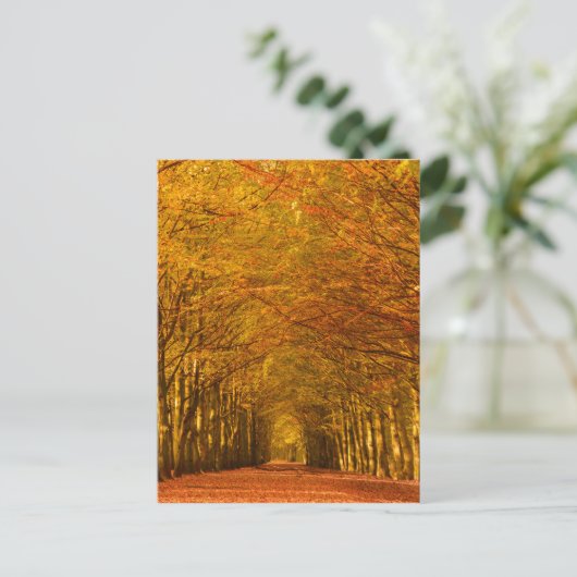 Weg door het bos in herfst verticaal briefkaart (Staand voorkant)