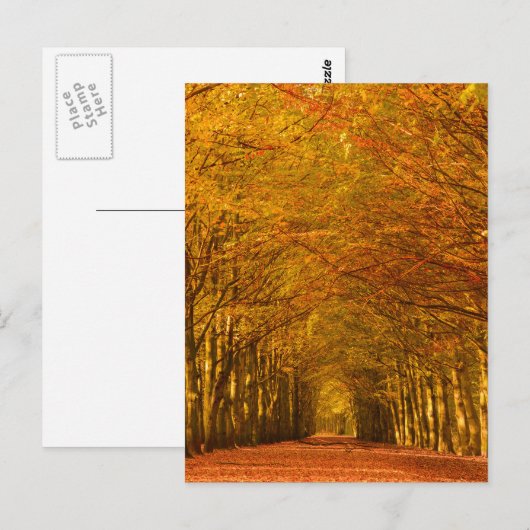 Weg door het bos in herfst verticaal briefkaart (Voorkant / Achterkant)