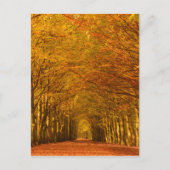 Weg door het bos in herfst verticaal briefkaart (Voorkant)