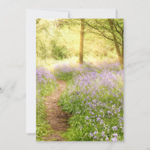 Weg door het bos van de blauwe klok bij zonsopgang kaart