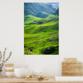 Weg door theeplantages poster (Keuken)