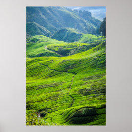 Weg door theeplantages poster