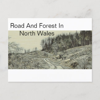 Weg en bos in Noord-Wales Briefkaart