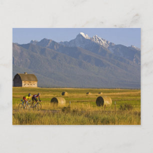 Weg fietsers rennen naar de achterkant van het lan briefkaart