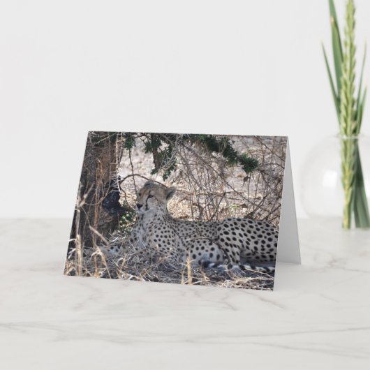 Weg geplooid kaart (Voorkant)