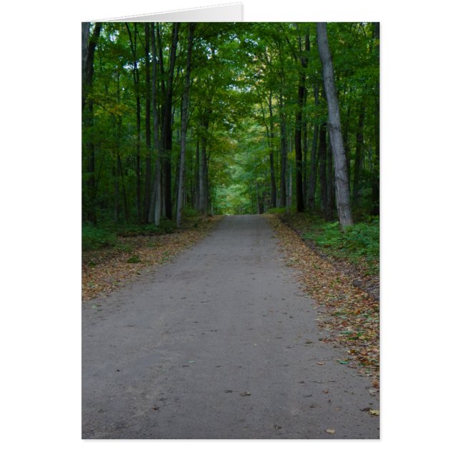 Weg in de bossen. (Voorkant)