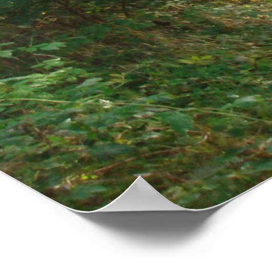 Weg in Denemarken Poster (Hoek)