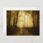Weg in een donker bos met mist briefkaart (Voorkant / Achterkant)