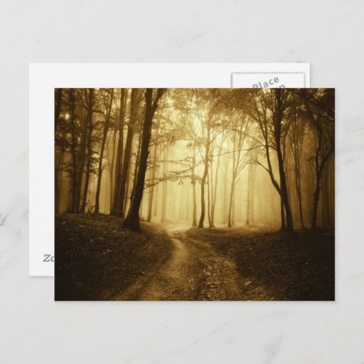 Weg in een donker bos met mist briefkaart (Voorkant / Achterkant)