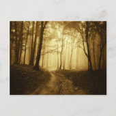 Weg in een donker bos met mist briefkaart (Voorkant)