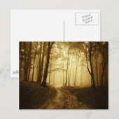 Weg in een donker bos met mist briefkaart (Voorkant / Achterkant)