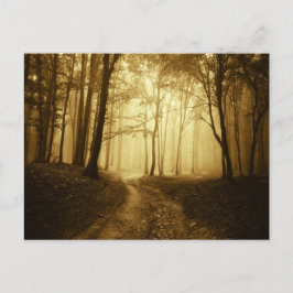Weg in een donker bos met mist briefkaart
