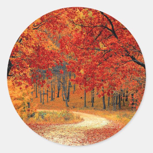Weg in het bos, herfst, ronde sticker (Voorkant)