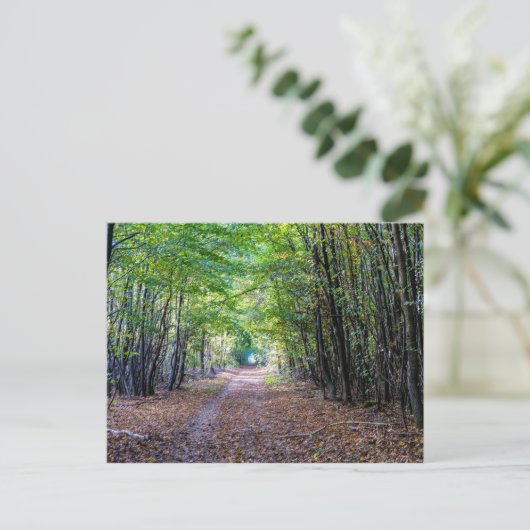 Weg in het herfstbos, Saint Germain Forest Briefkaart (Staand voorkant)