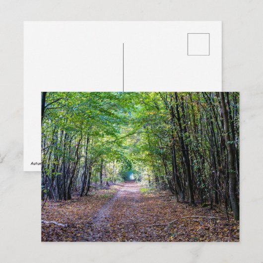 Weg in het herfstbos, Saint Germain Forest Briefkaart (Voorkant / Achterkant)
