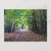 Weg in het herfstbos, Saint Germain Forest Briefkaart (Voorkant)
