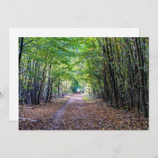 Weg in het herfstbos, Saint Germain Forest Kaart (Voorkant / Achterkant)