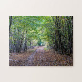 Weg in het herfstbos, Saint Germain Forest Legpuzzel (Horizontaal)