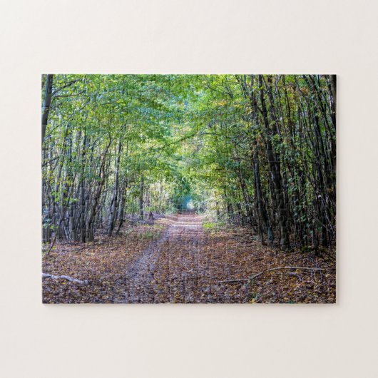 Weg in het herfstbos, Saint Germain Forest Legpuzzel (Horizontaal)