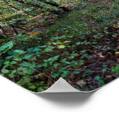 Weg in het herfstbos, Saint Germain Forest Poster (Hoek)