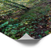 Weg in het herfstbos, Saint Germain Forest Poster (Hoek)
