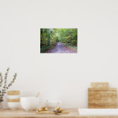 Weg in het herfstbos, Saint Germain Forest Poster (Keuken)