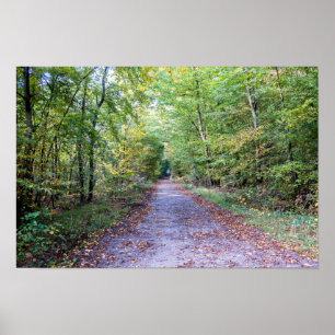 Weg in het herfstbos, Saint Germain Forest Poster