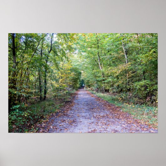 Weg in het herfstbos, Saint Germain Forest Poster (Voorkant)