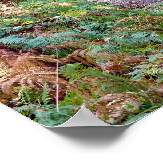 Weg in het herfstbos, Saint Germain Forest Poster (Hoek)