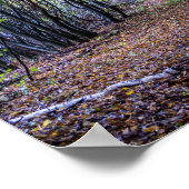 Weg in het herfstbos, Saint Germain Forest Poster (Hoek)