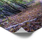 Weg in het herfstbos, Saint Germain Forest Poster (Hoek)