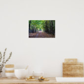 Weg in het herfstbos, Saint Germain Forest Poster (Keuken)