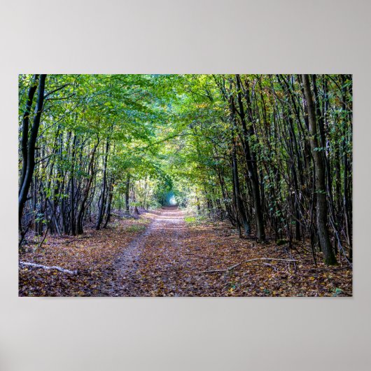 Weg in het herfstbos, Saint Germain Forest Poster (Voorkant)