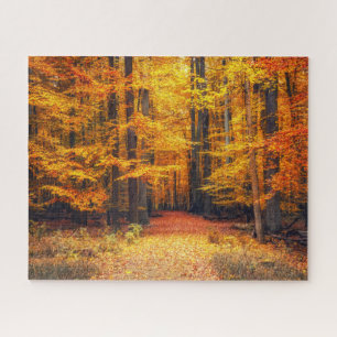 Weg in het herfstpark legpuzzel