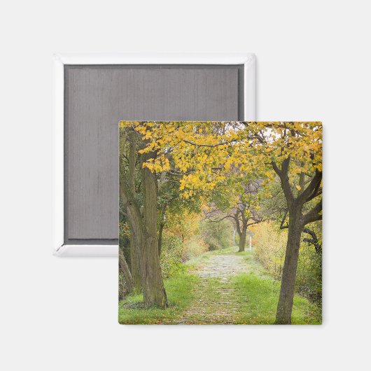 Weg in het najaar magneet (Voorkant / Achterkant)
