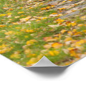 Weg in het najaar poster (Hoek)