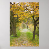 Weg in het najaar poster (Voorkant)