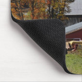 weg langs klassieke plattelandsschuur/boerderij in muismat (Hoek)