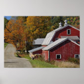 weg langs klassieke plattelandsschuur/boerderij in poster (Voorkant)