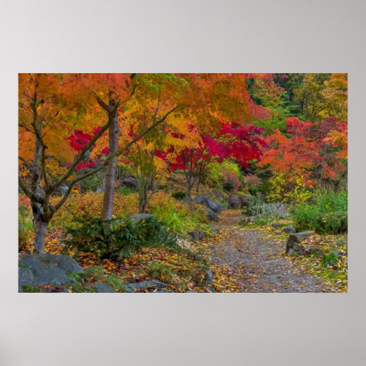 Weg leidt naar een parkbank poster (Voorkant)