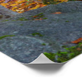 Weg leidt naar een parkbank poster (Hoek)