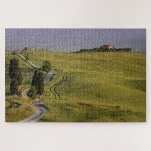Weg met cyperen naar Terrapille in Toscane Legpuzzel (Horizontaal)
