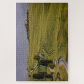 Weg met cyperen naar Terrapille in Toscane Legpuzzel (Verticaal)