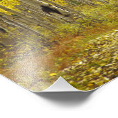 Weg met herfstkleuren en asbest in Kebler 2 Foto Afdruk (Hoek)